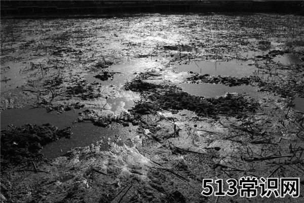 梦见泥坑_做梦梦到泥坑是什么意思