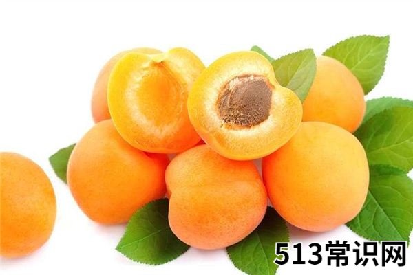 梦见杏_做梦梦到杏是什么意思
