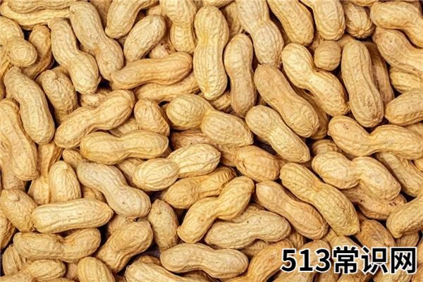 梦见花生_做梦梦到花生是什么意思