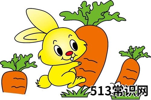 属兔人2020年鼠年的财运贵人
