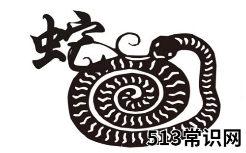 属蛇和什么属相不合