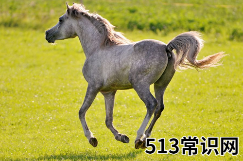 属马的文昌方位