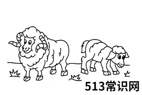 火羊几月出生命好
