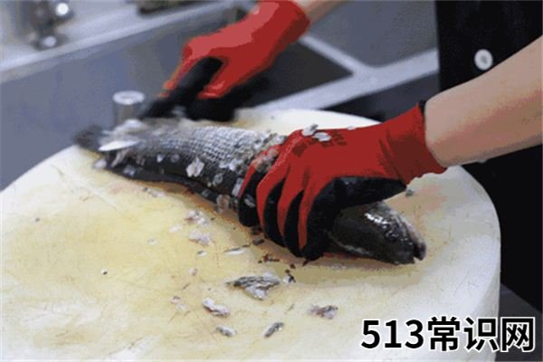 梦见杀鱼_做梦梦到杀鱼是什么意思